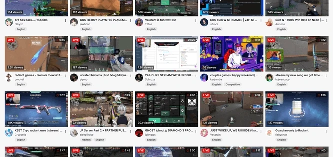 Twitch interface example 2